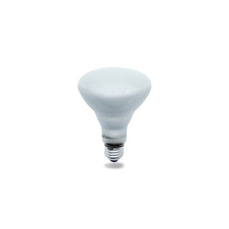 Westinghouse Other Bulbs/Ballasts/Drivers 65RBR30/FL/130