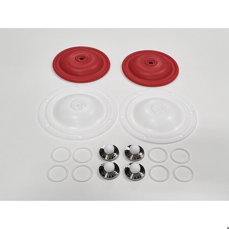 Finish Thompson Wet-End Repair Kit for 1" Pump Model FT FW10S-2TST