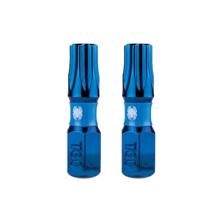 Spyder 2-Piece 1/4-in x 1-in T30 19043