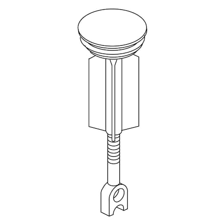 Kohler Brass Plunger Assembly 1037022-BGP