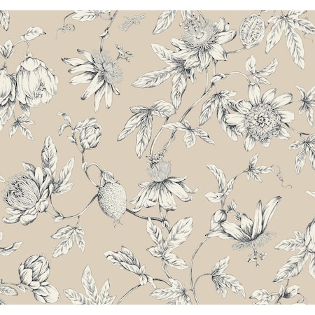 York Wallcoverings Passion Flower Toile Beige Wallpaper RT7854