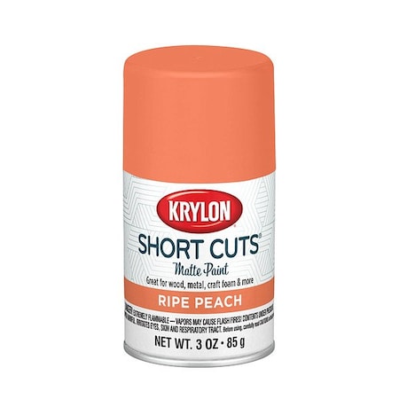 Krylon Spray Paints - Craft & Hobby Spray Paint KSCS08300