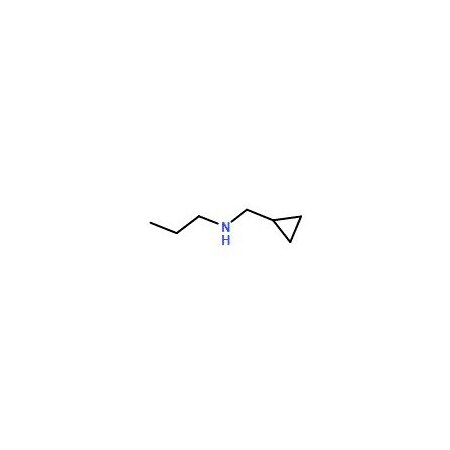 Ak Scientific N-(Cyclopropylmethyl)-N-propylamine (1g), CAS 26389-60-6 8748AD-1g