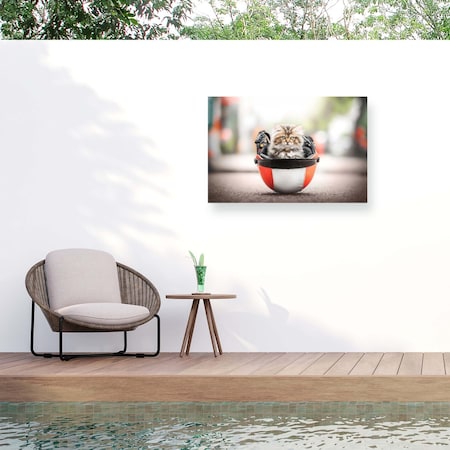 Trademark Fine Art Outdoor Canvas Art Natalie Grosse Speed Racer Wall Art for Patios, or Gardens GRL01200-OC2232WR
