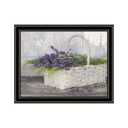 Homeroots My Lavender Black Framed Print Wall Art 530175