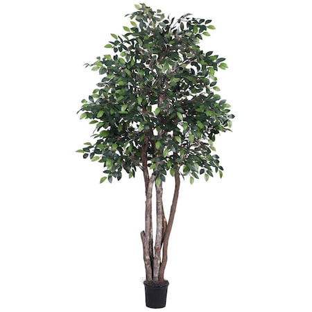 Dare2Decor 6 ft. Mini Ficus Executive Silk Tree - Green DA593538