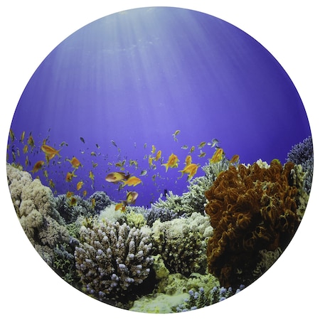 Tickit Under the Sea Discovery Play Mat 73560