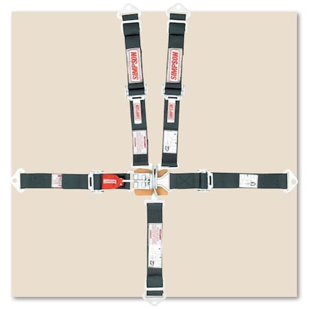 Simpson Safety 5-Point Harness System JR Wrap, Black SIM29025BK