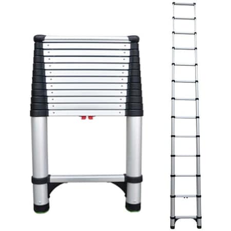 Telesteps Telescoping Ladder, Silver, Aluminum 1600E