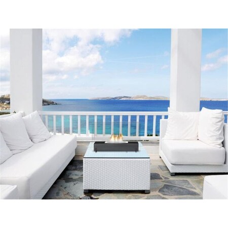 Flowers First Vision 2 Burner, Matte Black FL995006