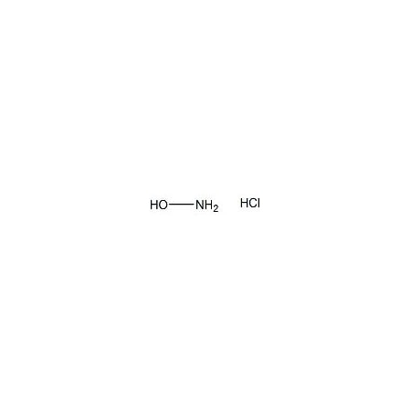 Ak Scientific Hydroxylamine HCl (25g), CAS 5470-11-1 C664-25g