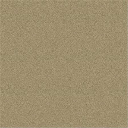 A E S Industries 547 Cs-144 Acid Brush 0.5 in. 0.5 in. Acid Brush, 144PK AES-547