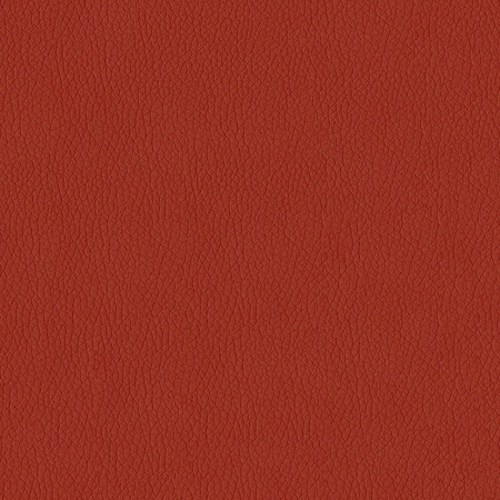 Abbeyshea Rust, Polyurethane Coated Faux Leather Fabric, 9 in L, 9 in W KENDR14M9X9