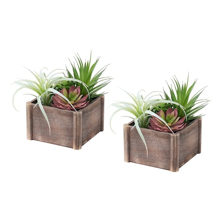 Monarch Specialties Artificial Plant, 10-in. Tall, Succulent, Table, Brown Wooden Pots, Contemporary, Modern, 2PK I 9371