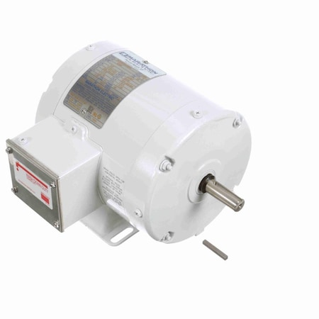 Marathon E286 White Epoxy Washdown Motor ME286