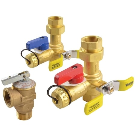 Richmond Tankless Service Valve Kit, Brass RTG20326