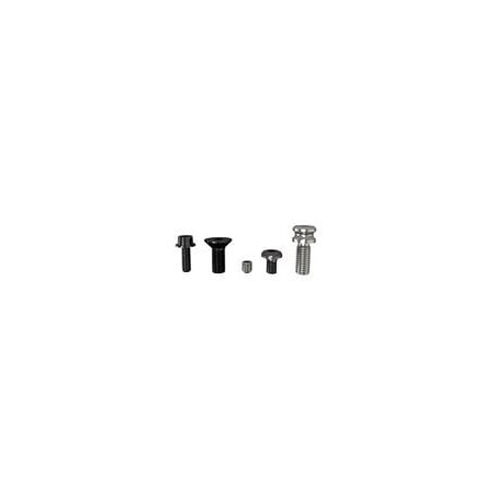 Cmt SCREW FOR BEARING TSPEI M5x9x12mm D=9.8mm UNI-5933 990.055.00