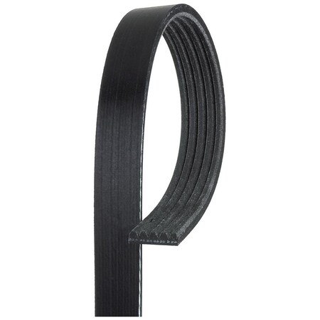 Acdelco BELT FAN, Serpentine Belt,  5K551
