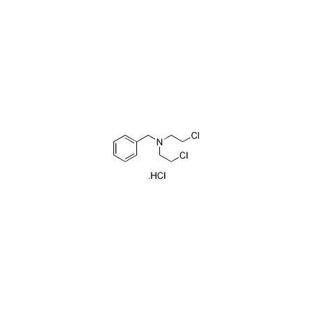 Ak Scientific N-Benzyl-bis(2-chloroethyl)amine HCl (25g), CAS 10429-82-0 I533-25g