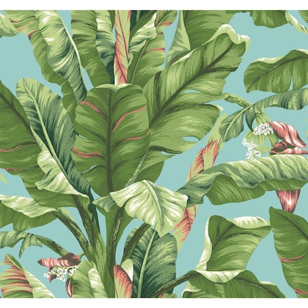 York Wallcoverings Banana Leaf Aqua and White Wallpaper AT7070