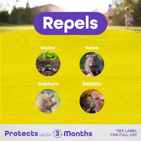 Bonide MoleMax Animal Repellent Granules For Moles and Voles 10 lb 692150
