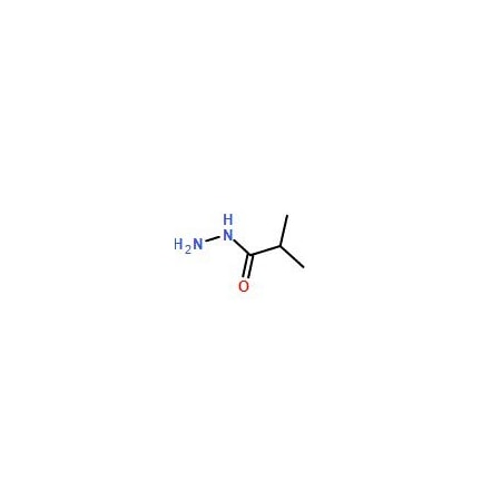 Ak Scientific Isobutyric acid hydrazide (1g), CAS 3619-17-8 R443-1g