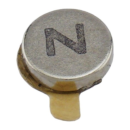 Zoro Select Rare Earth Magnet, Silver, White FTND25N