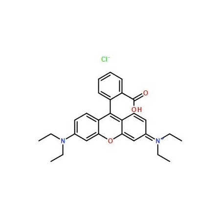 Ak Scientific Rhodamine B (100g), CAS 81-88-9 T319-100g
