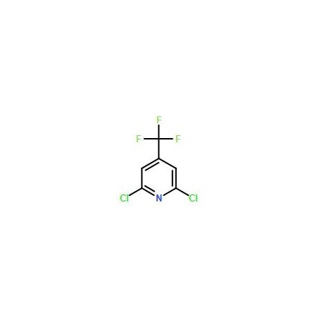 Ak Scientific 2, 6-Dichloro-4-(trifluoromethyl)pyridine (10g), CAS 39890-98-7 W6024-10g