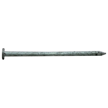 National Nail 0054198 16D x 3.5 in. Pro Nail Common Gal, 1 lbs 54198