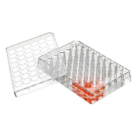 Globe Scientific Well Plate, Colorless, PK50 TC-PLT-48-NT