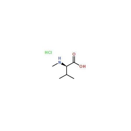 Ak Scientific N-Me-D-Val-OH HCl (1g), CAS 210830-32-3 Z5749-1g