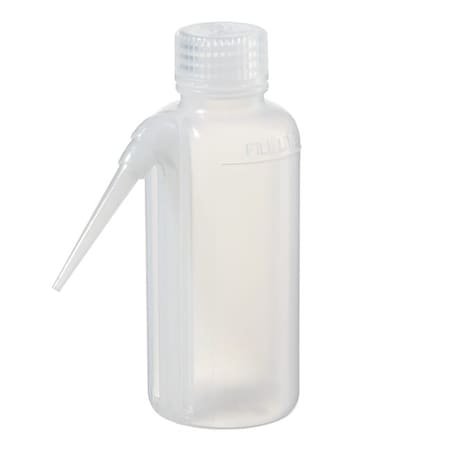 Nalgene Wash Bottle, Plastic, Colorless, PK48 2402-0125