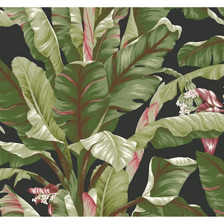 York Wallcoverings Banana Leaf Black and Red Wallpaper AT7071