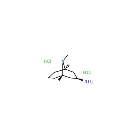 Ak Scientific endo-3-amine-9-methyl-9-azabicyclo[3, 3, 1]nonane 2HCl (1g), CAS 135906-03-5 O738-1g
