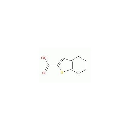 Ak Scientific 4, 5, 6, 7-Tetrahydro-benzo[b]thiophene-2-carboxylic acid (250mg), CAS 40133-07-1 W6052-250mg