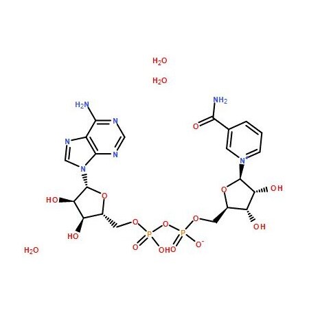 Ak Scientific Beta-nicotinamide adenine dinucleotide tetrahydrate (25g), CAS 282730-13-6 6616AF-25g