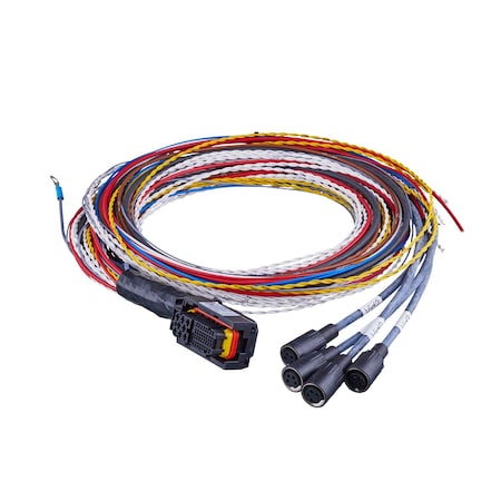 Brady IFMConnection cable with AMP connector, for 4 analog cameras E2M276