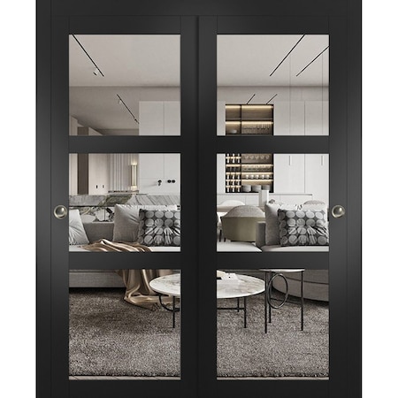 Sartodoors Sliding Closet Bypass Doors, Lucia 2555 Matte Black with Clear Glass, Sturdy Rails Moldings Trims LUCIA2555DBD-BLK-48