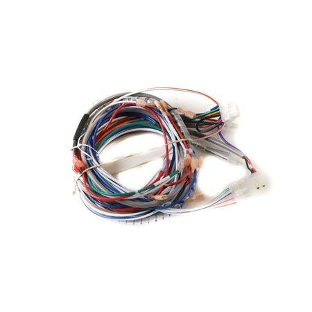 Lochinvar Low voltage harness 100351312