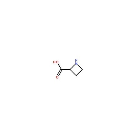Ak Scientific Azetidine-2-carboxylic acid (10g), CAS 2517-04-6 X2014-10g