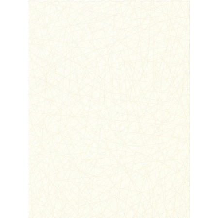 Warner Allover Stix Cream Geometric Wallpaper 2945-4001
