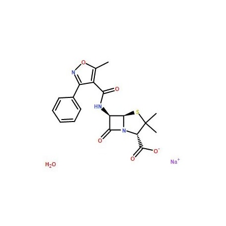 Ak Scientific Oxacillin sodium monohydrate, meet USP specifications (1g), CAS 7240-38-2 2620AH-1g