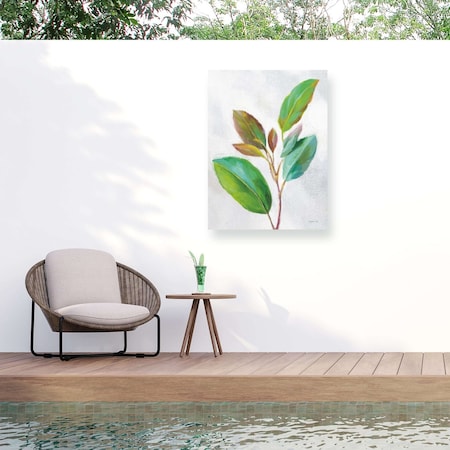 Trademark Fine Art Outdoor Canvas Art Danhui Nai 'Natural Riches Leaves II' Wall Art for Patios, or Gardens WAP33895-OC2432WR