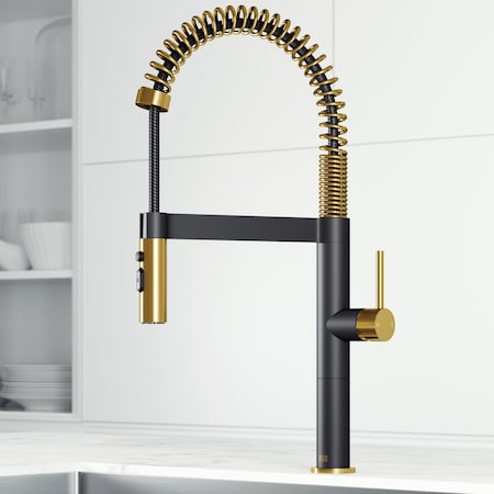 Vigo Edison Pro Single Handle Pull-Down Kitchen Faucet in Matte Gold/Matte Black VG02052MGMB