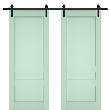 Sartodoors Sturdy Double Barn Door Solid Core Modern Interior VEREGIO7411DB-OLI-36 x 80 (2* 18x80)-Black Rail
