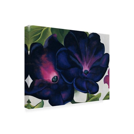 Trademark Fine Art Outdoor Canvas Art - Georgia O'Keefe 'Black and Purple Petunias' Wall Art for Patios, or Gardens ALI10053-OC2432WR