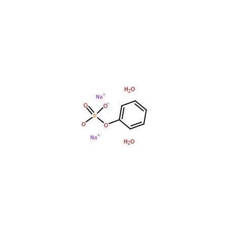 Ak Scientific Phenyl phosphate, disodium salt dihydrate (1g), CAS 66778-08-3 R608-1g