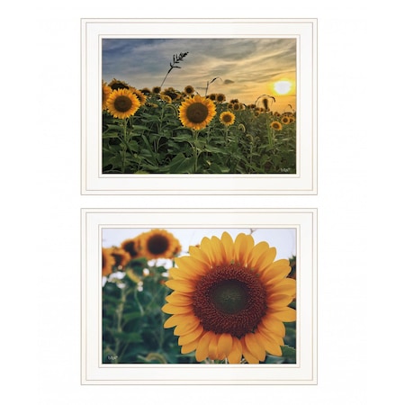 Homeroots Set Of Two Midwest Living 1 White Framed Print Wall Art, 2PK 407950