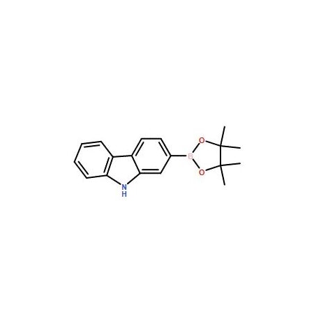 Ak Scientific 9H-Carbazole-2-boronic acid pinacol ester (1g), CAS 871125-67-6 9650AL-1g